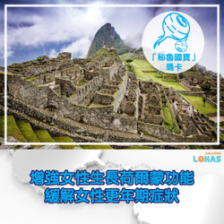 「秘魯國寶」瑪卡– 增強女性生長荷爾蒙功能，能緩解女性更年期症狀