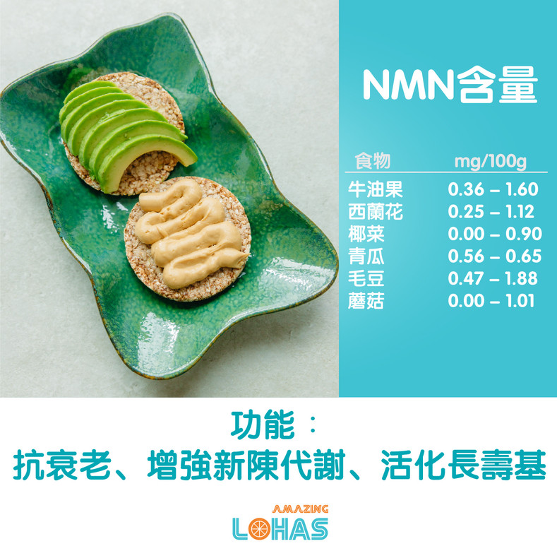 什麼是NMN？