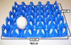 Plastic Turkey or Duck Egg Tray (20 Egg) - TEG-20