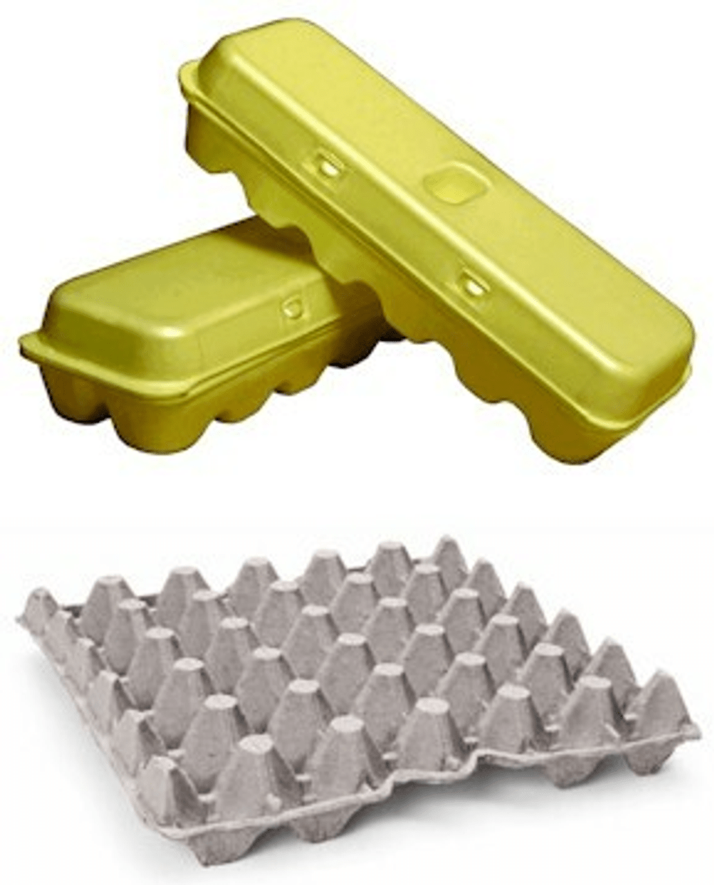 Egg Cartons, Trays and Supplies