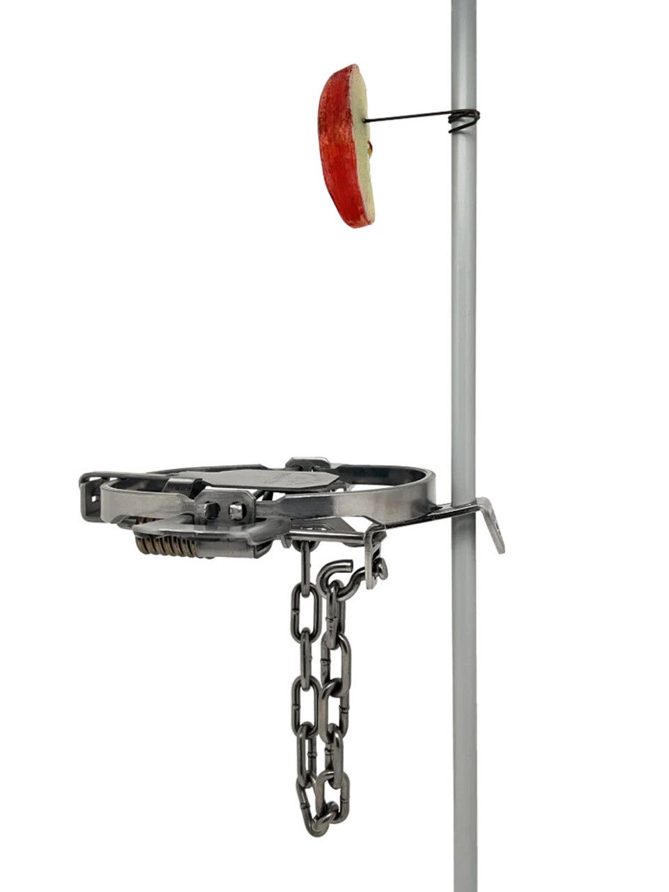 Hagz Bait Holder - 12 Pack