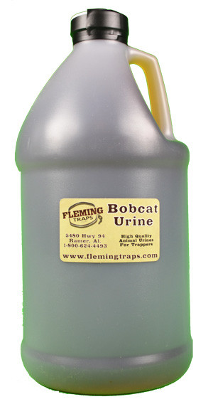 Bobcat Urine