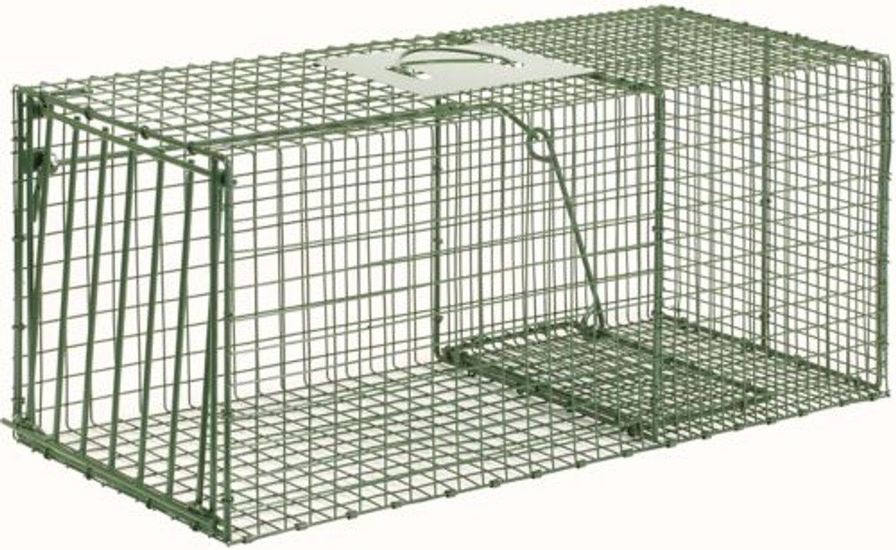 Duke Heavy Duty Live Animal Cage Trap