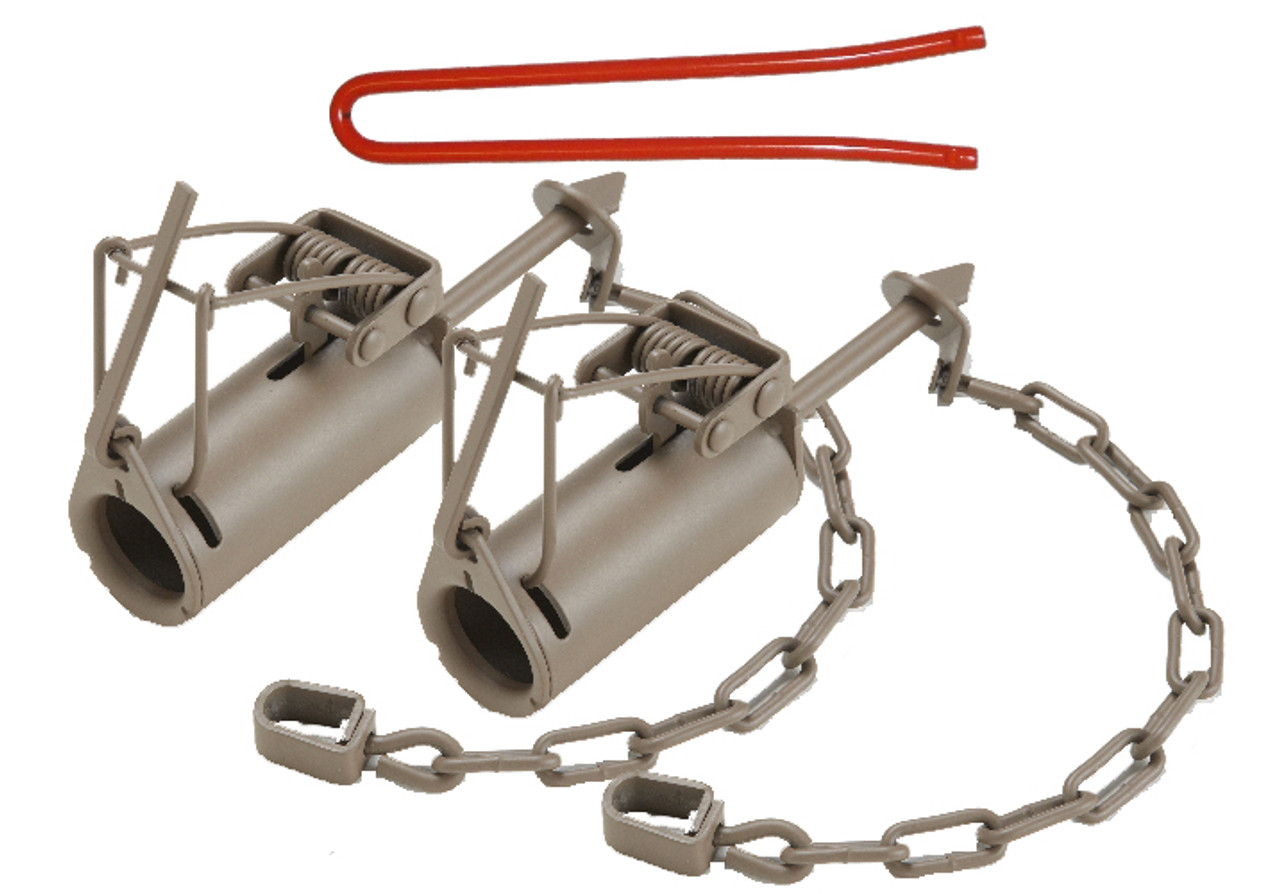 Duke Dog Proof Raccoon Trap - 2 Pack with Set Tool