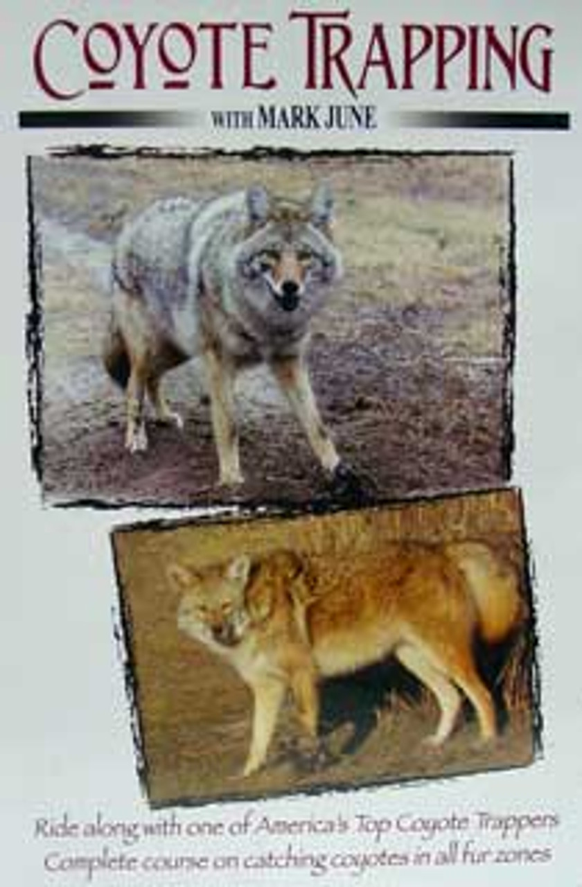 Mark June Coyote Trapping Volume 1 DVD