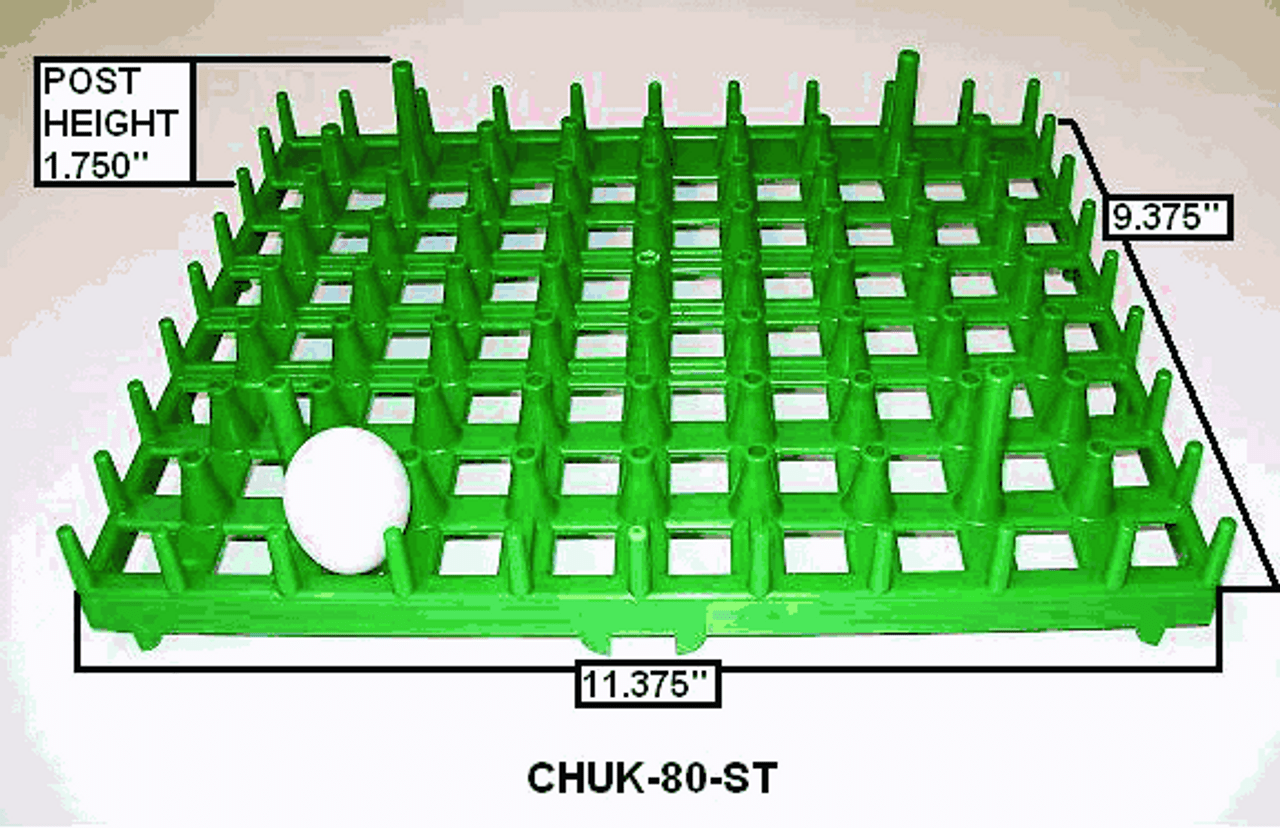 Plastic Partridge Egg Trays - Chuck-80-ST