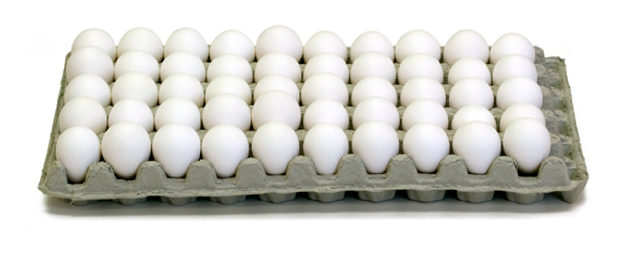 Quail Egg Trays Paper (50 Egg) - 10/pk