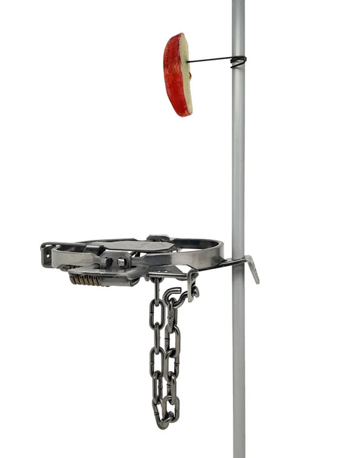 Hagz Bait Holder - 12 Pack
