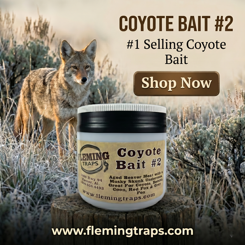 Coyote Bait #2 - 16 oz
