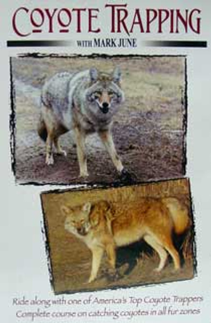 Coyote Trapping - Reducing the Numbers DVD
