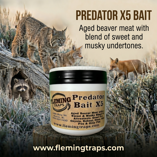 Predator Bait X5 - 16 oz.