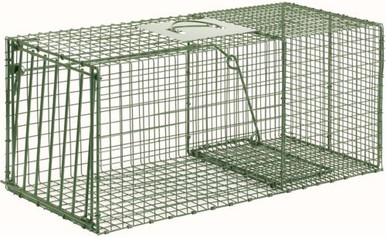  Duke Traps Heavy Duty Raccoon and Armadillo Trap (1112) :  Sports & Outdoors