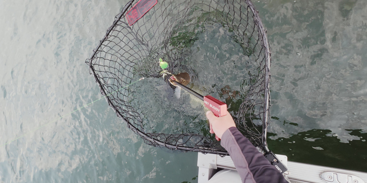 DWF Net Buddy Hookout