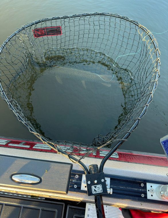 Musky Buddy Net