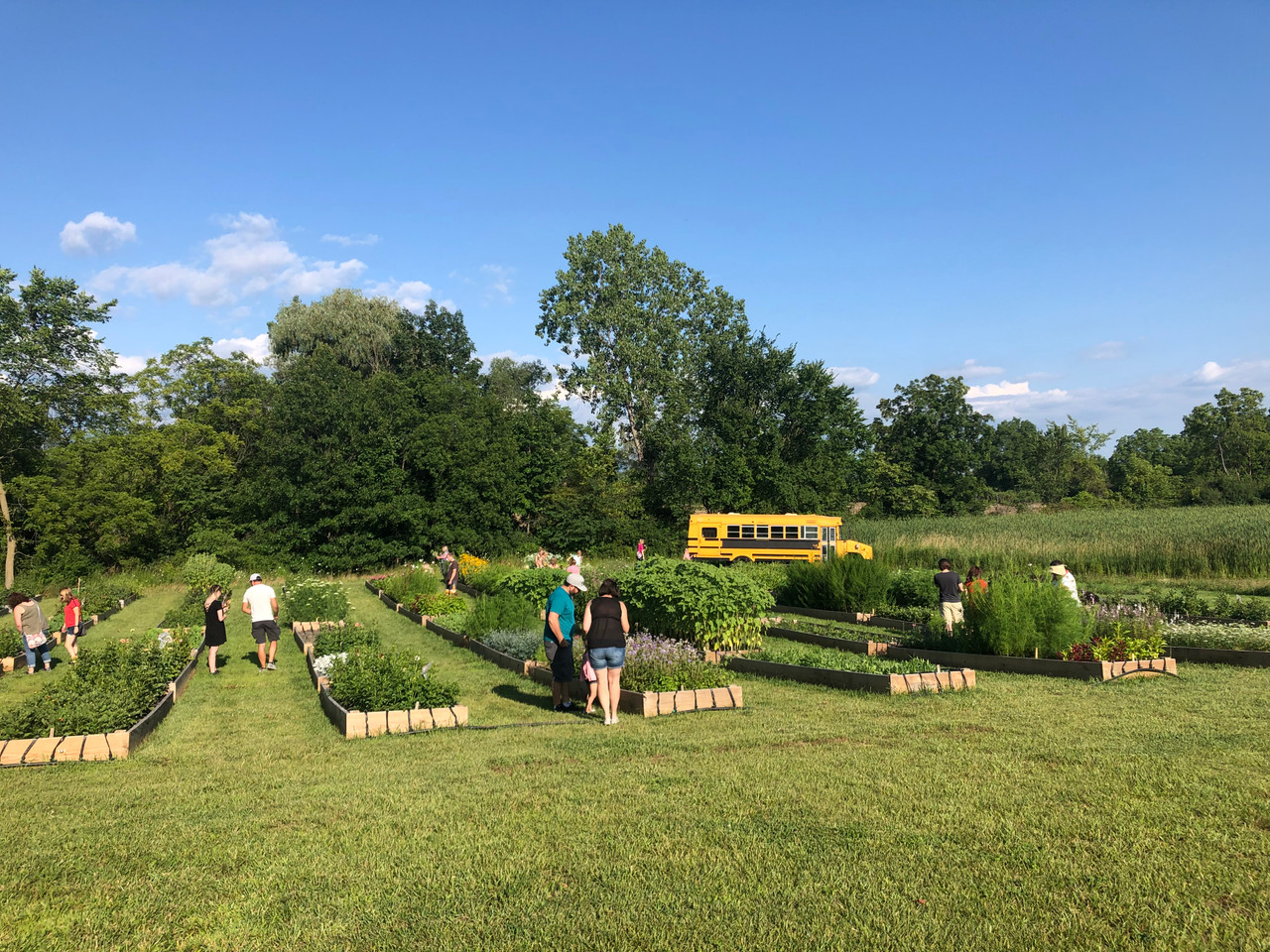 Muddy Acres Flower Farm