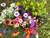 Deposit for Bulk Flowers