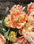 Up close photo of foxy foxtrot double tulip

