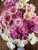Misc. Pink Peony | 3-5 Eye Bare Root (Read Description)