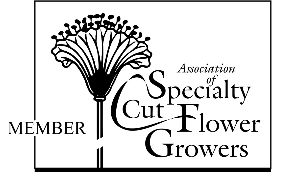 association-logo.jpg association-logo.jpg