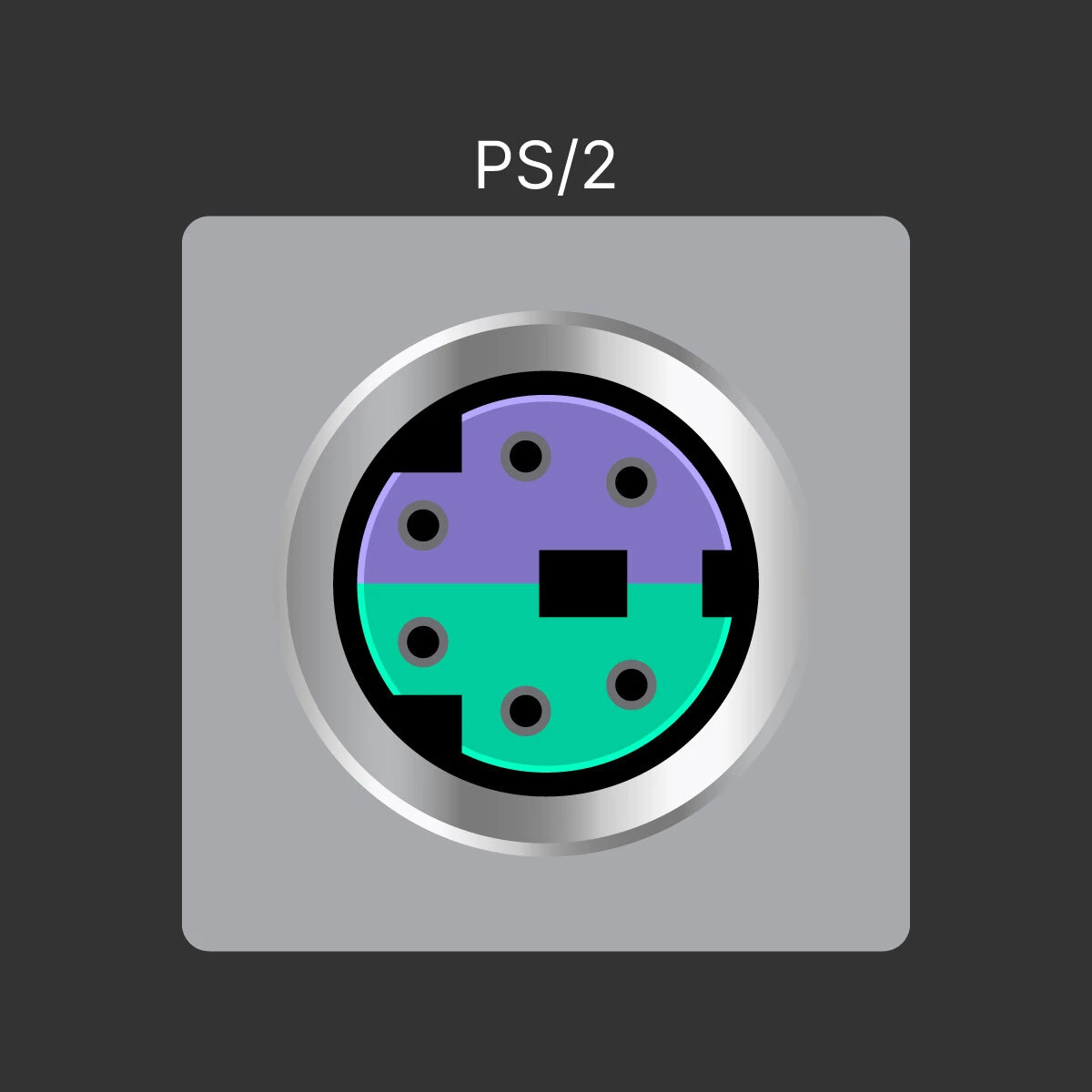 PS/2 Port