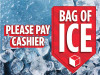 PIO-IPPC - Bag of Ice - Please Pay Cashie