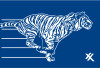 EN13001GA017 - Lower Door Graphic - Exxon