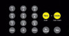 T50064-1017 - ADA Crind Keypad Overlay