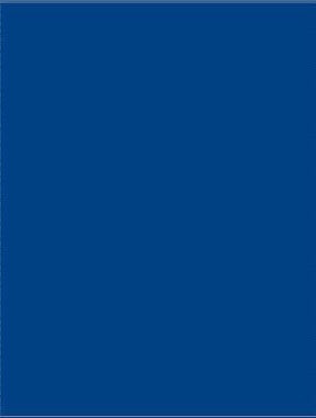 T19334-BLUE - Lower Door Graphic