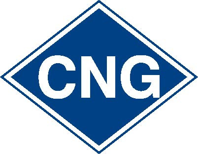 PIO-CNG - CNG Lower Door Overlay