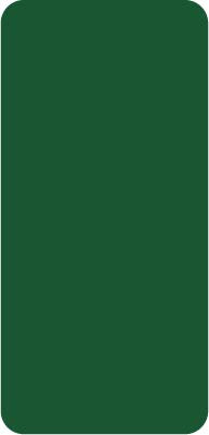 ENS1105G015 - GREEN OVERLAY