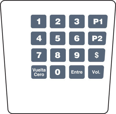 ENE1705G008 - SPANISH