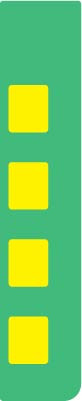 ENE0502G022 - YELLOW KEYS GREEN BACK