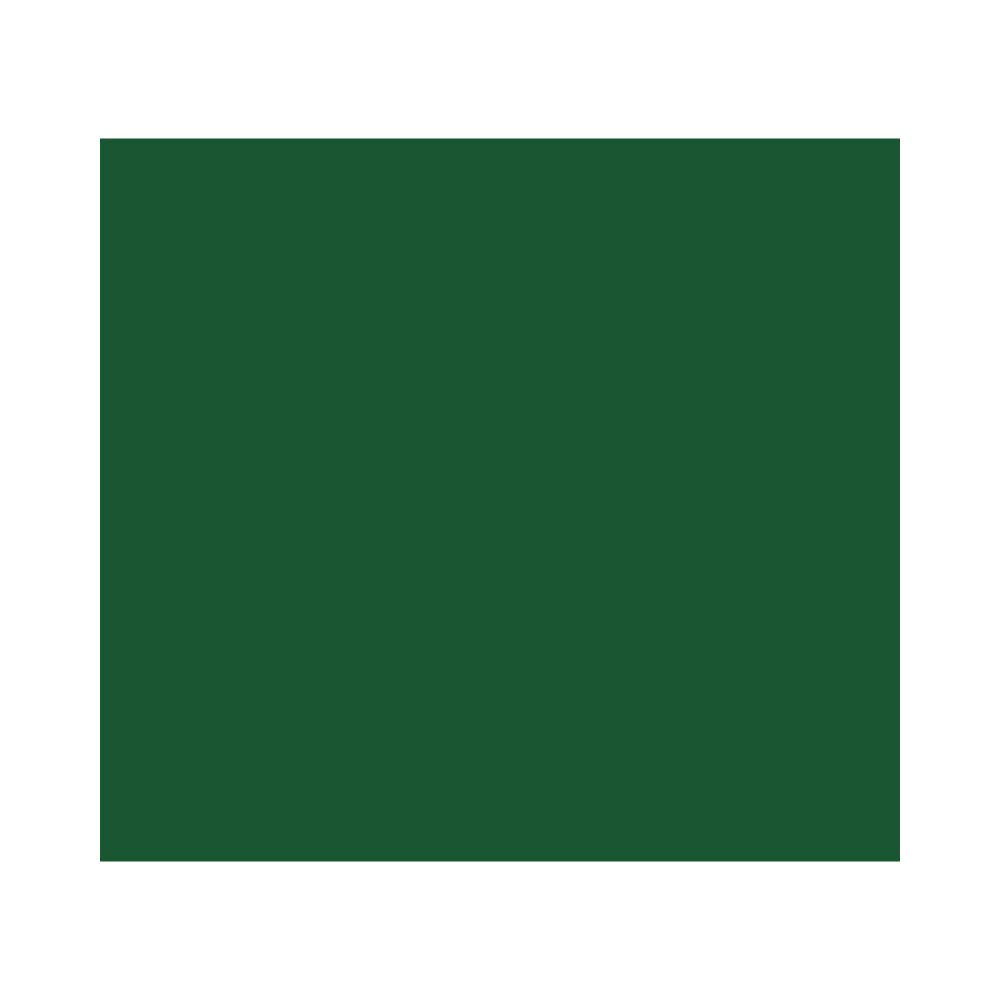 EN08001G039B - Green Blank Overlay