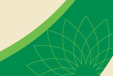 EN13001GC917 - Lower Door Graphic - BP