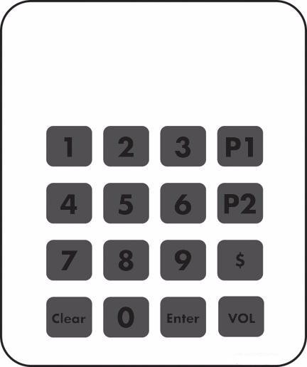 T50134-29 - PPP Keypad Overlay Shell RVI