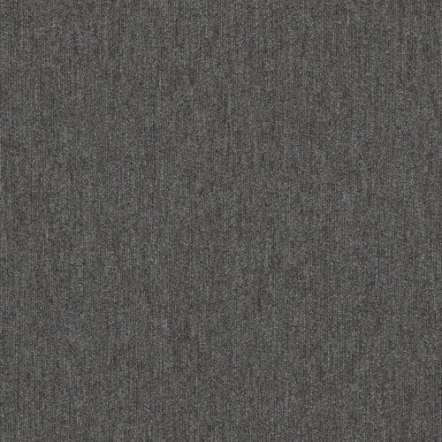 Philadelphia Commercal Profusion Tons Carpet