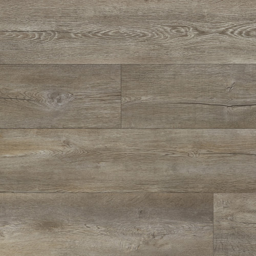 Paradigm Conquest Abbey Vinyl