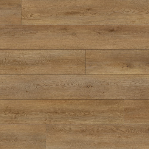 Paradigm Conquest Acropolis Vinyl