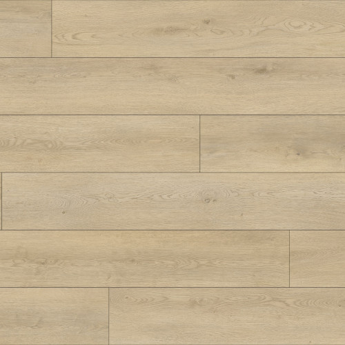 Paradigm Conquest Enchantment Vinyl