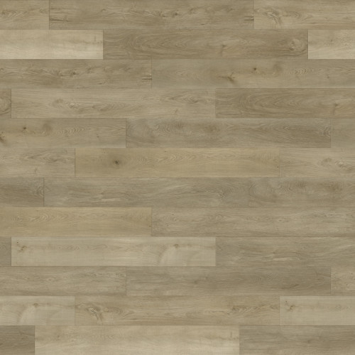 Paradigm Conquest Joust Vinyl