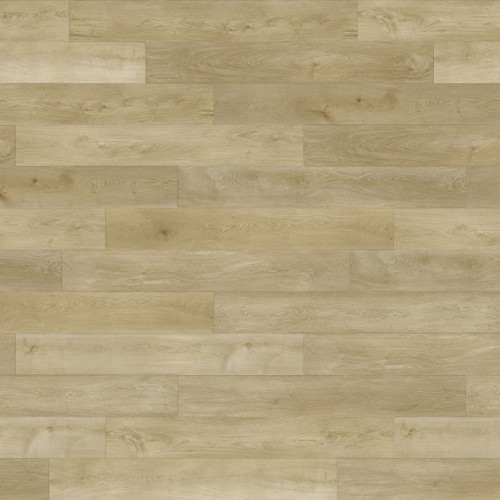 Paradigm Conquest Royalty Vinyl