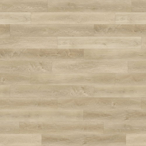 Paradigm Conquest Squire Vinyl