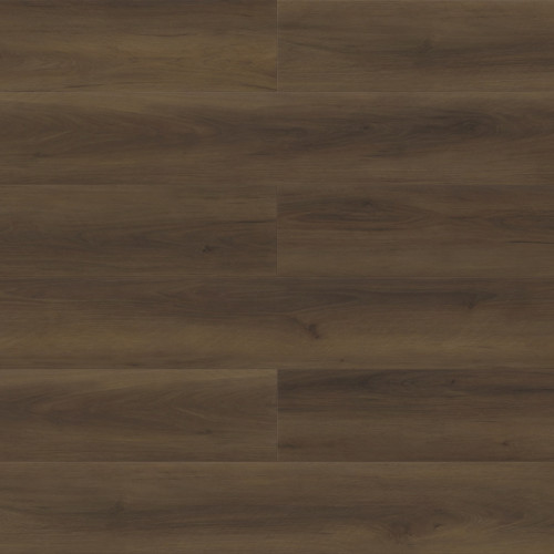 Paradigm Performer Plus Eagle Vinyl