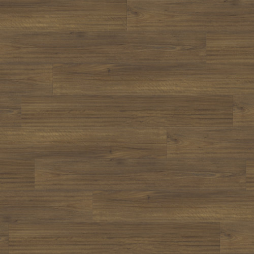 Paradigm Performer Plus Finch Vinyl