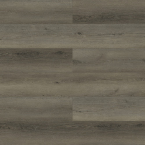 Paradigm Performer Plus Hummingbird Vinyl