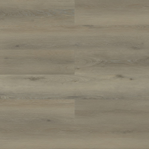 Paradigm Performer Plus Kiwi Vinyl