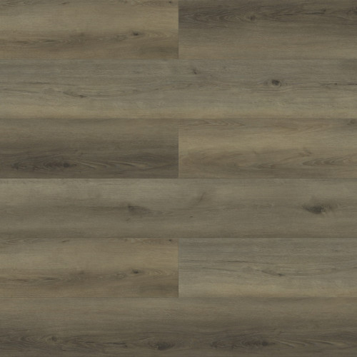 Paradigm Performer Plus Pelican Vinyl