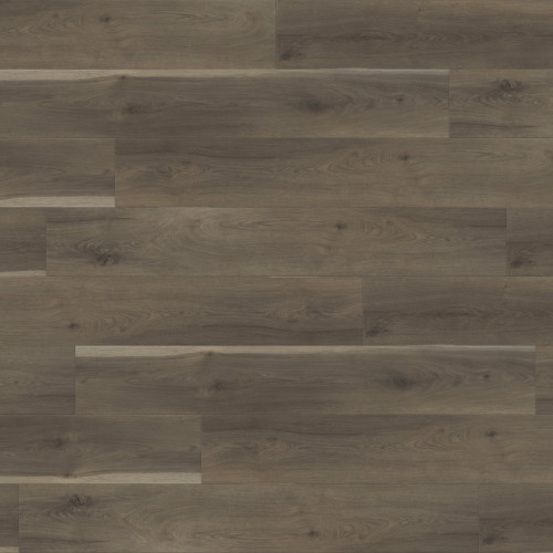 Paradigm Performer Plus Sandpiper Vinyl