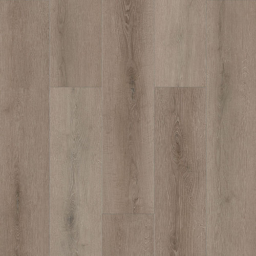 Lions Floor Bambino Coffee Feather Vinyl