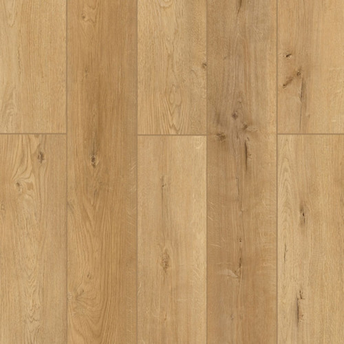 Lions Floor Bambino Naples Parfum Vinyl